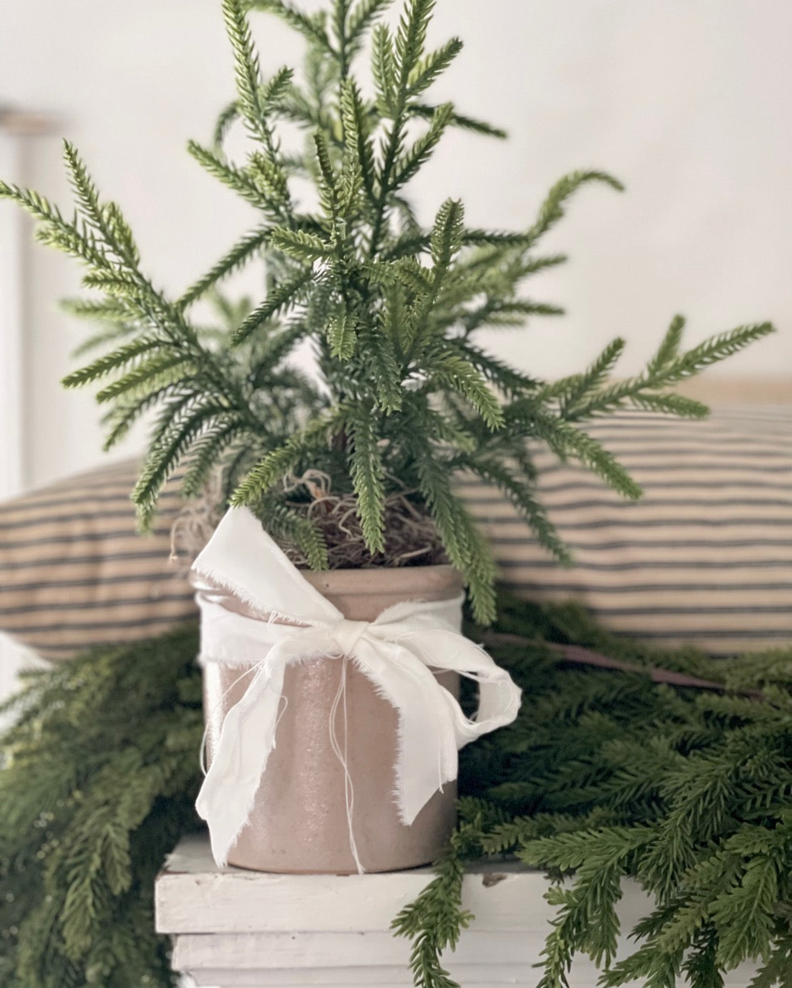 Petite Heirloom Tree - B