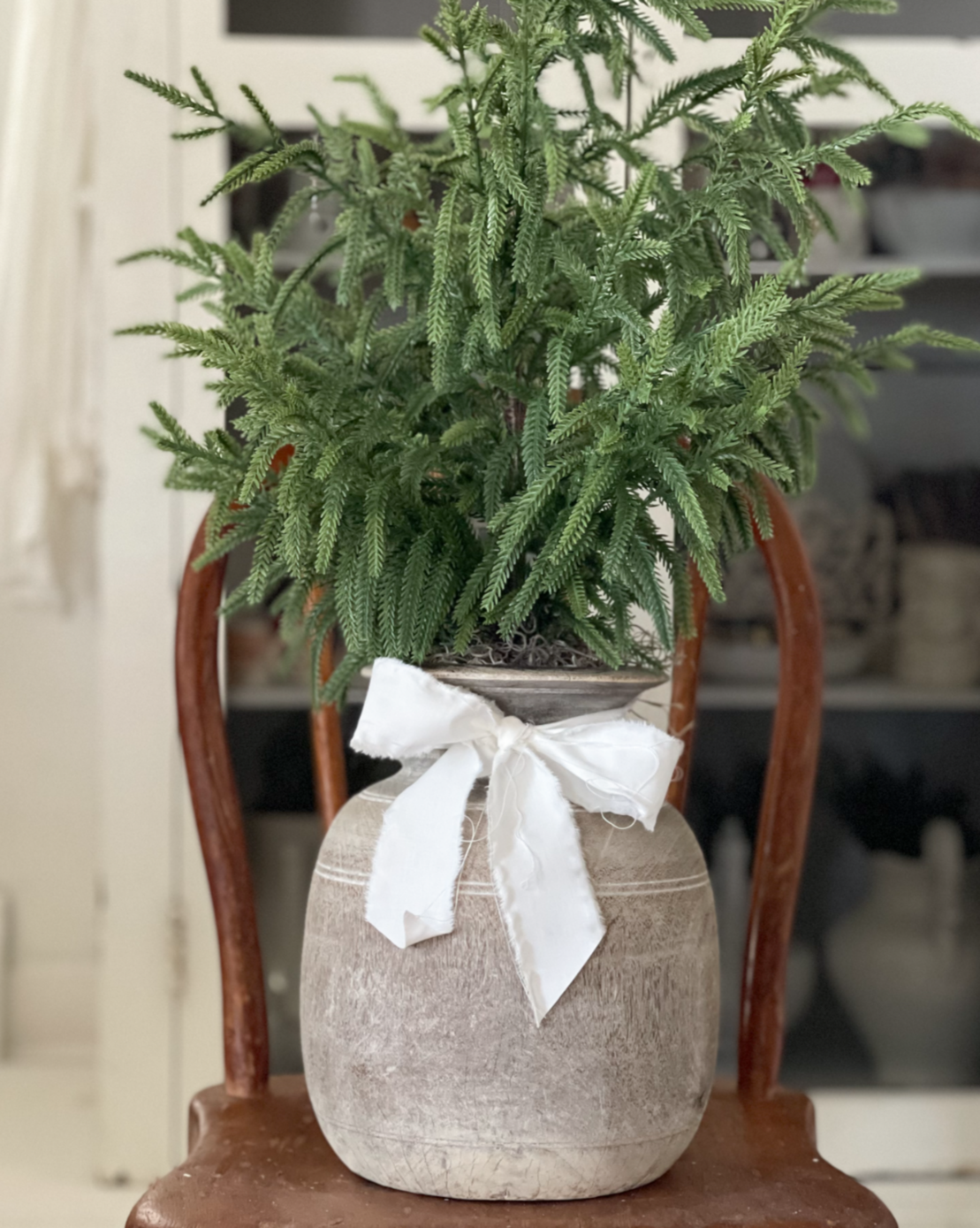 Heirloom Pine Tree - D