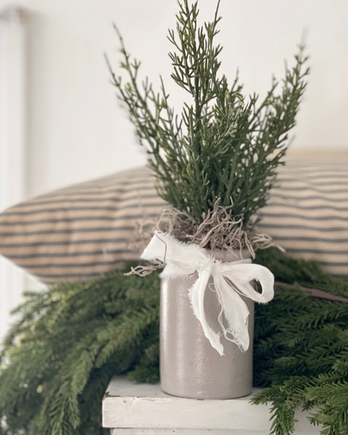 Bitty Heirloom Tree - B