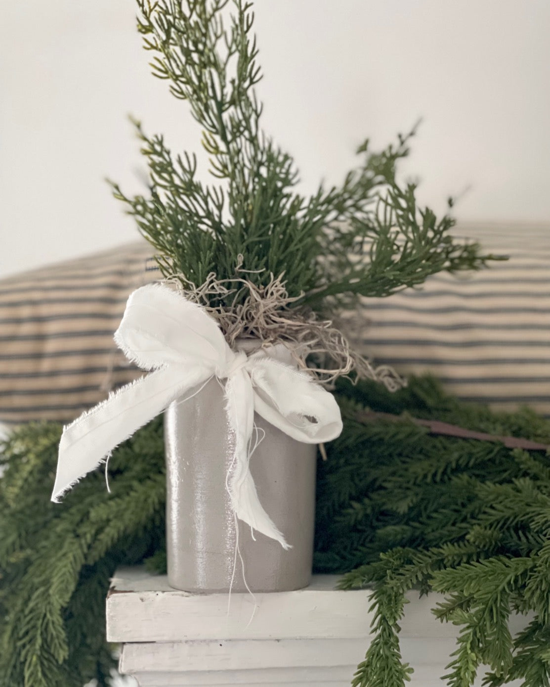 Bitty Heirloom Tree - D