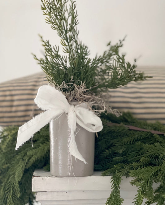 Bitty Heirloom Tree - D