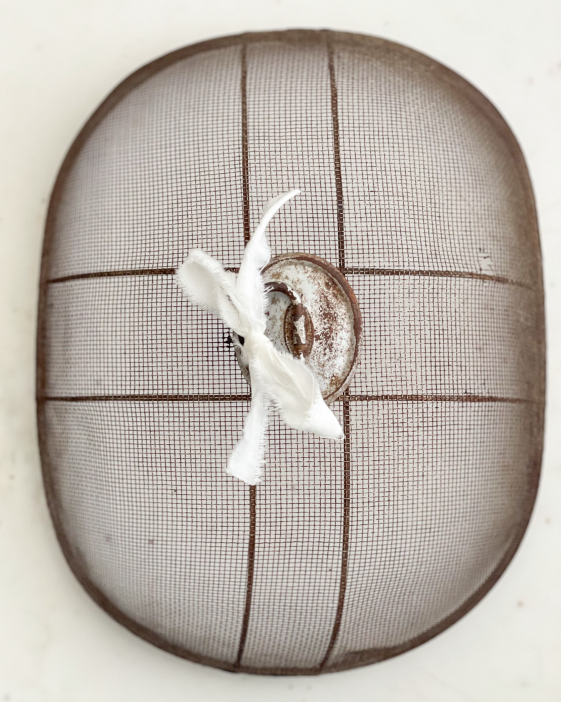 Old English Wire Food Cover