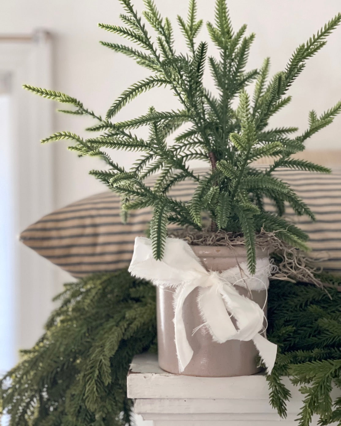 Petite Heirloom Tree - A