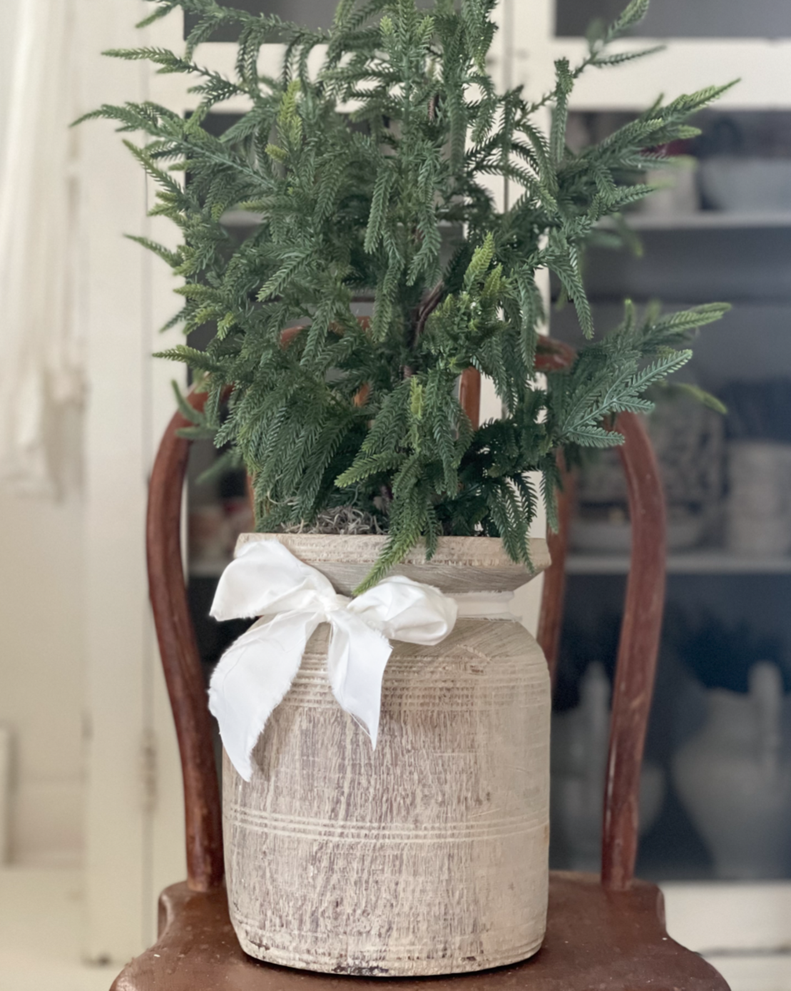 Heirloom Pine Tree - A