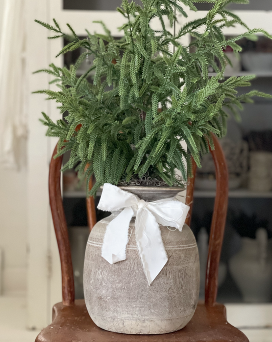 Heirloom Pine Tree - D